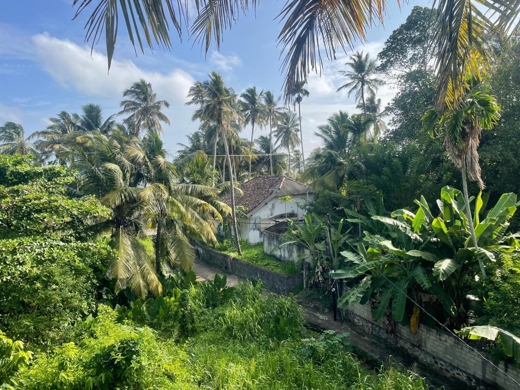 Serendipity Beach Unawatuna Exterior photo